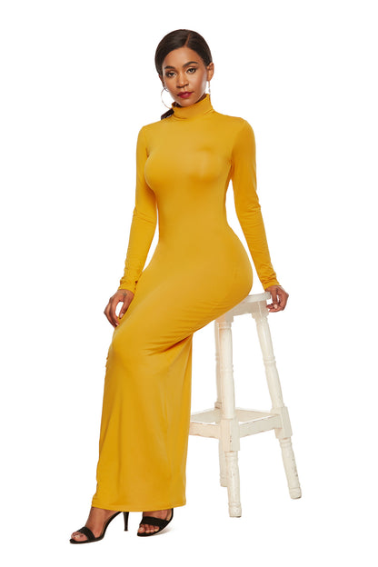 Women's Long Sleeve Stretch Slim Fit Turtleneck Dress